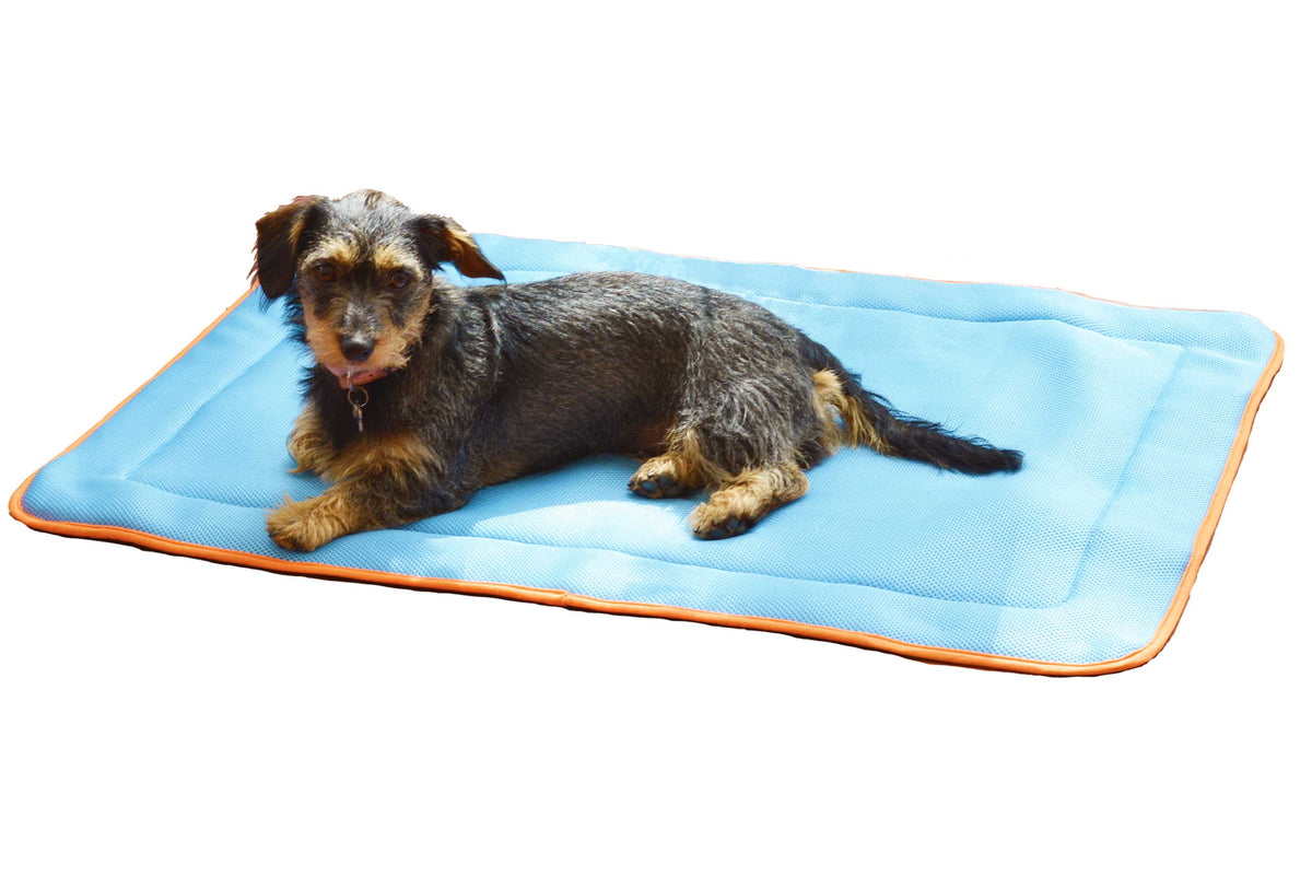 Asda dog cooling store mat