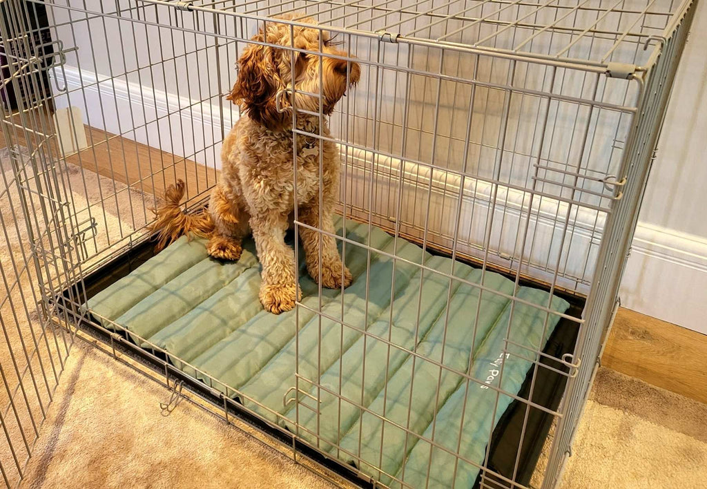 Easy Crate Mat Mint – Easy Paws - Main Image